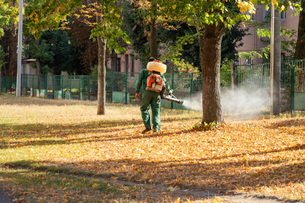 Best Insect Control  in Bourbon, MO