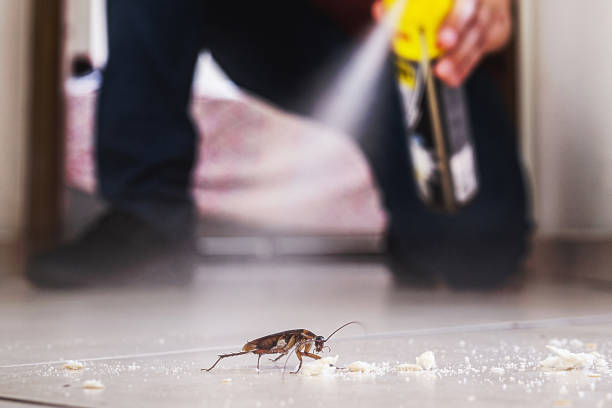 Best Emergency Pest Control  in Bourbon, MO